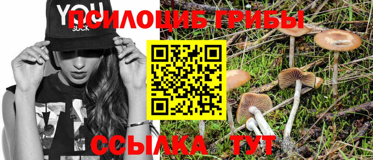 Псилоцибиновые грибы Magic Shrooms Назарово