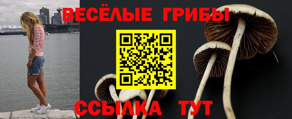 Галлюциногенные грибы мухоморы  Вход с VPN  Назарово  Галлюциногенные грибы ЛСД 